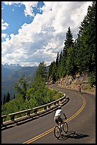 Bicyclists riding down Going-to-the-Sun road. Glacier National Park ( color)