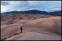 Visitor looking, dune field. Great Sand Dunes National Park and Preserve, Colorado, USA.