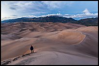 Hiker climbing high dune. Great Sand Dunes National Park and Preserve ( color)