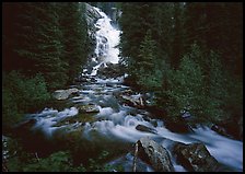 Hidden Falls, stream, and forest. Grand Teton National Park ( color)