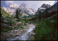 Pictures of Grand Tetons