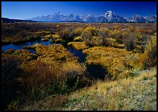 Wetlands and Teton range in autumn. Grand Teton National Park, Wyoming, USA.