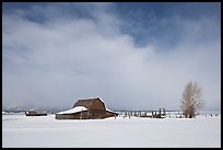 Moulton Barn in winter. Grand Teton National Park, Wyoming, USA. (color)