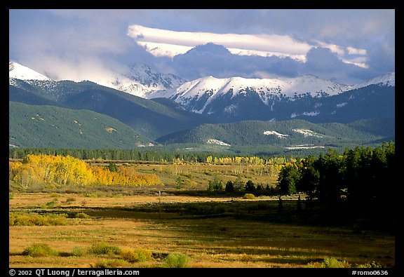 Fall color and mountain range. Colorado, USA (color)