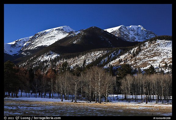 Aspens and Bighorn mountain in winter. Rocky Mountain National Park (color)