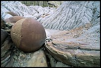 Cannonball concretion, North Unit. Theodore Roosevelt National Park, North Dakota, USA. (color)