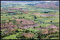 Painted Canyon. Theodore Roosevelt National Park, North Dakota, USA. (color)