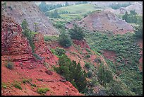 Red soil, Scoria Point. Theodore Roosevelt National Park, North Dakota, USA. (color)