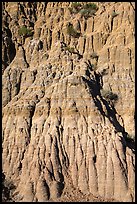 Wall with pillars. Theodore Roosevelt National Park, North Dakota, USA. (color)