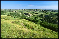 Prairie and badlands from Buck Hill, early morning. Theodore Roosevelt National Park, North Dakota, USA.