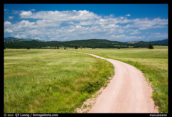 Gravel road through Red Valley. Wind Cave National Park, South Dakota, USA.