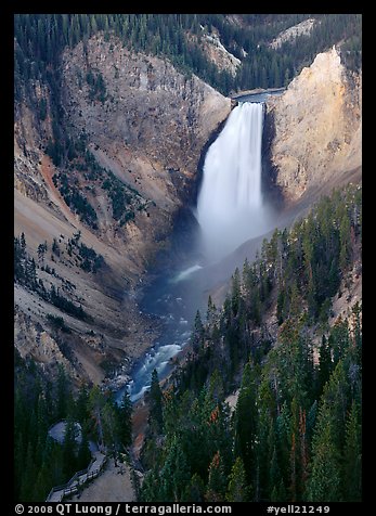 Canyon and Lower Falls of the Yellowstone river. Yellowstone National Park, Wyoming, USA.