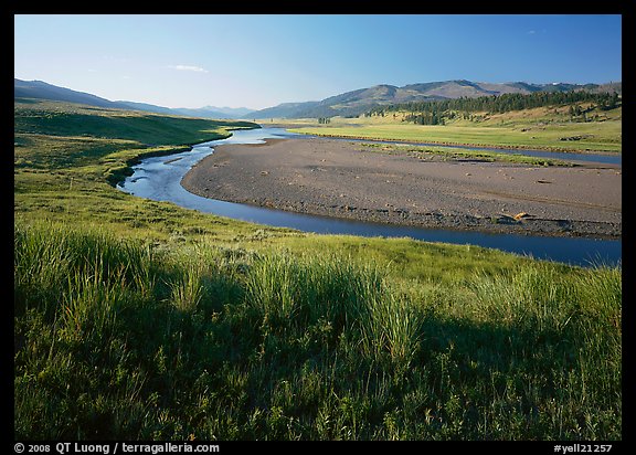 Meadow and river in wide Lamar Valley. Yellowstone National Park, Wyoming, USA.