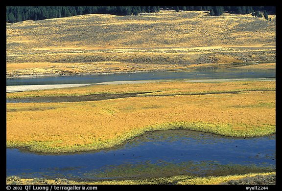 Yellowstone River and meadow in fall. Yellowstone National Park, Wyoming, USA.