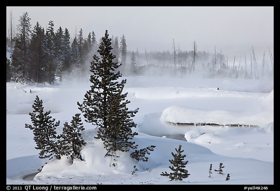 Snow-covered West Thumb thermal basin. Yellowstone National Park, Wyoming, USA.