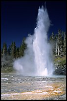 Grand Geyser,  tallest of the regularly erupting geysers in the Park. Yellowstone National Park, Wyoming, USA. (color)