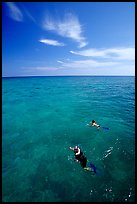 Snorkelers over a coral reef. Biscayne National Park, Florida, USA. (color)