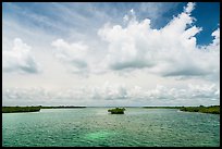 Channel with mangrove islet. Biscayne National Park ( color)