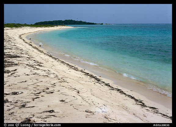 Beach on Bush Key with beached seaweed. Dry Tortugas National Park (color)