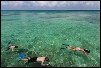 Snorkelers and reef, Garden Key. Dry Tortugas National Park ( color)