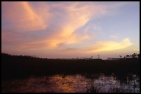 Dawn on marsh and sawgrass prairie. Everglades National Park, Florida, USA.