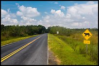 Road with Florida Panther sign. Everglades National Park, Florida, USA. (color)