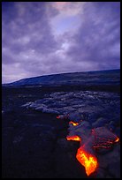 Molten Lava glows at dawn. Hawaii Volcanoes National Park, Hawaii, USA. (color)