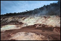 Sulphur deposits and vents (Haakulamanu). Hawaii Volcanoes National Park, Hawaii, USA. (color)