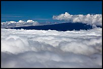 Mauna Loa emerging above clouds. Hawaii Volcanoes National Park, Hawaii, USA. (color)
