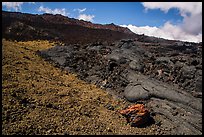 Olivine crystals, red lava rock, and lava fields, Mauna Loa. Hawaii Volcanoes National Park, Hawaii, USA. (color)