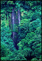 Ephemeral waterfall in Amalau Valley, Tutuila Island. National Park of American Samoa (color)