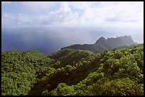 Tropical forest and Ocean from Mont Alava, Tutuila Island. National Park of American Samoa
