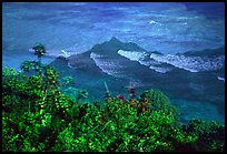 Tropical vegetation and turquoise waters in Vatia Bay, Tutuila Island. National Park of American Samoa (color)