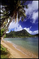 Palm-fringed beach in Vatia Bay, Tutuila Island. National Park of American Samoa (color)