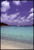 Tropical beach and yachts. Virgin Islands National Park, US Virgin Islands.