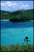 Tropical anchorage, Francis Bay. Virgin Islands National Park, US Virgin Islands.