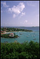 Cruz Bay harbor. Saint John, US Virgin Islands