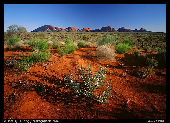 Pink sand dunes and Olgas. Olgas, Uluru-Kata Tjuta National Park, Northern Territories, Australia