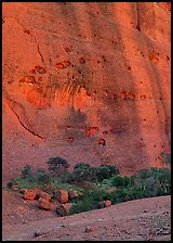 Rock wall, the Olgas. Olgas, Uluru-Kata Tjuta National Park, Northern Territories, Australia ( color)