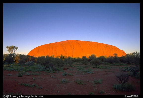 Sunrise, Ayers Rock. Uluru-Kata Tjuta National Park, Northern Territories, Australia