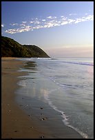 Beach near Cape Tribulation. Queensland, Australia ( color)