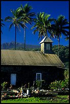 Church (1860) and palm trees, Keanae Peninsula. Maui, Hawaii, USA (color)