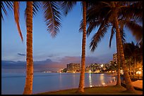 Palm trees and Waikiki beach at dusk. Waikiki, Honolulu, Oahu island, Hawaii, USA ( color)