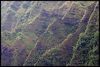 Steep ridges covered with tropical vegetation, Koolau Mountains. Oahu island, Hawaii, USA