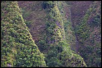 Steep ridges near Pali Highway, Koolau Mountains. Oahu island, Hawaii, USA