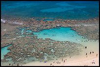 People in the water in the reefs of Hanauma Bay. Oahu island, Hawaii, USA (color)