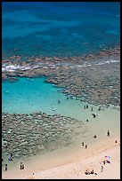Beach and reef, Hanauma Bay. Oahu island, Hawaii, USA ( color)
