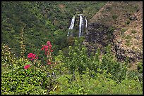 Opaekaa Falls and tropical vegetation, mid-morning. Kauai island, Hawaii, USA