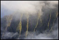 Fluted ridges seen through mist, Kalalau lookout, late afternoon. Kauai island, Hawaii, USA