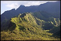 Aerial view of slopes of Mt Waialeale. Kauai island, Hawaii, USA